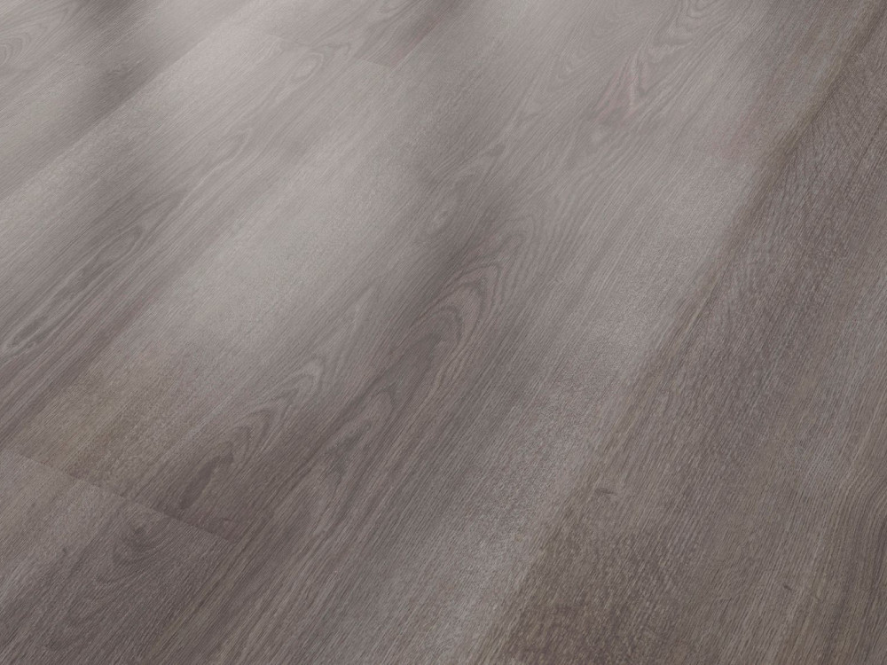 LAMELLA HIGH C. 34710