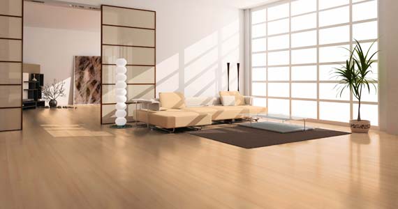 Laminat Parke Bakımı